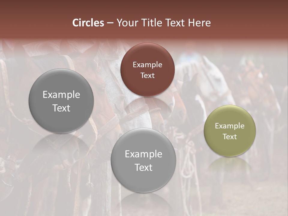 Exhibitions Rancher Horse PowerPoint Template