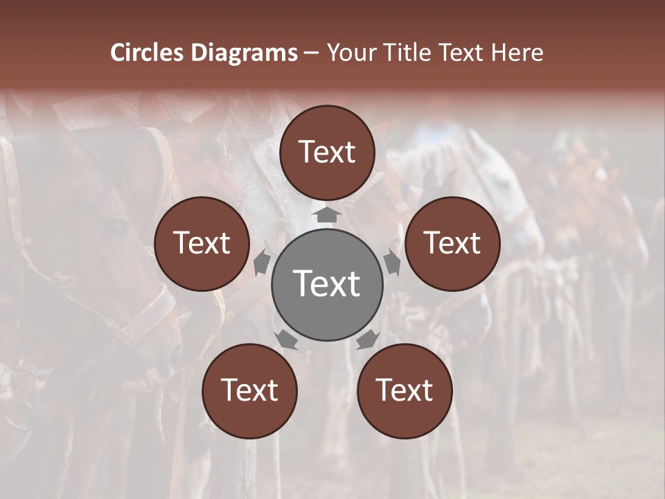 Exhibitions Rancher Horse PowerPoint Template