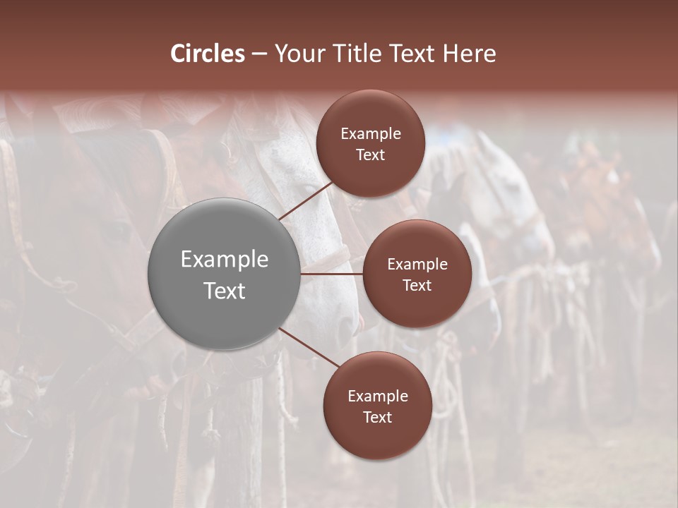 Exhibitions Rancher Horse PowerPoint Template