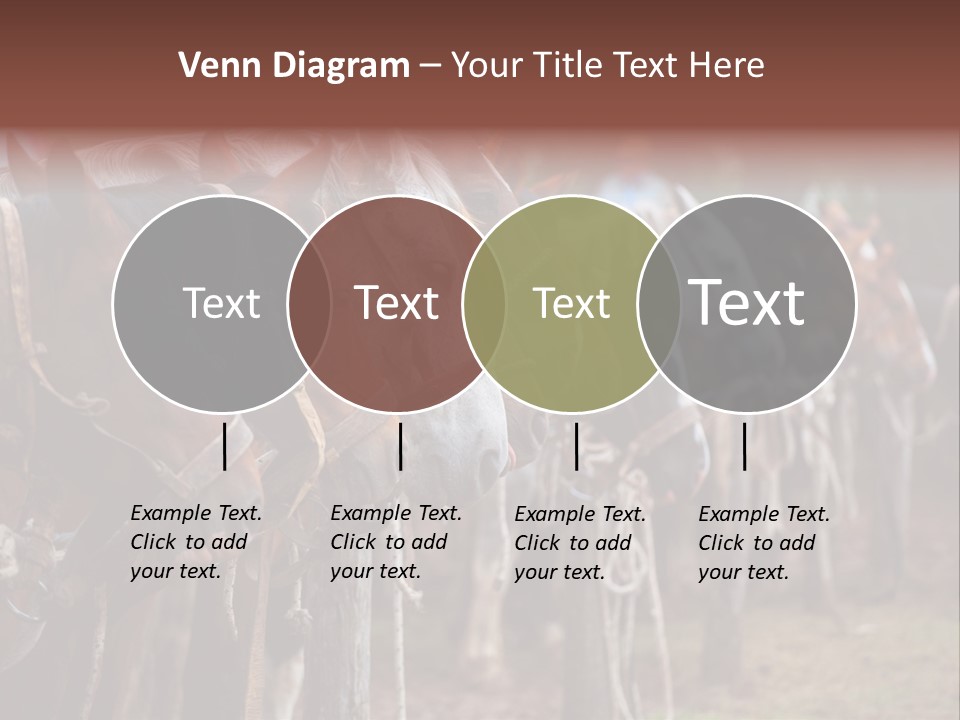 Exhibitions Rancher Horse PowerPoint Template