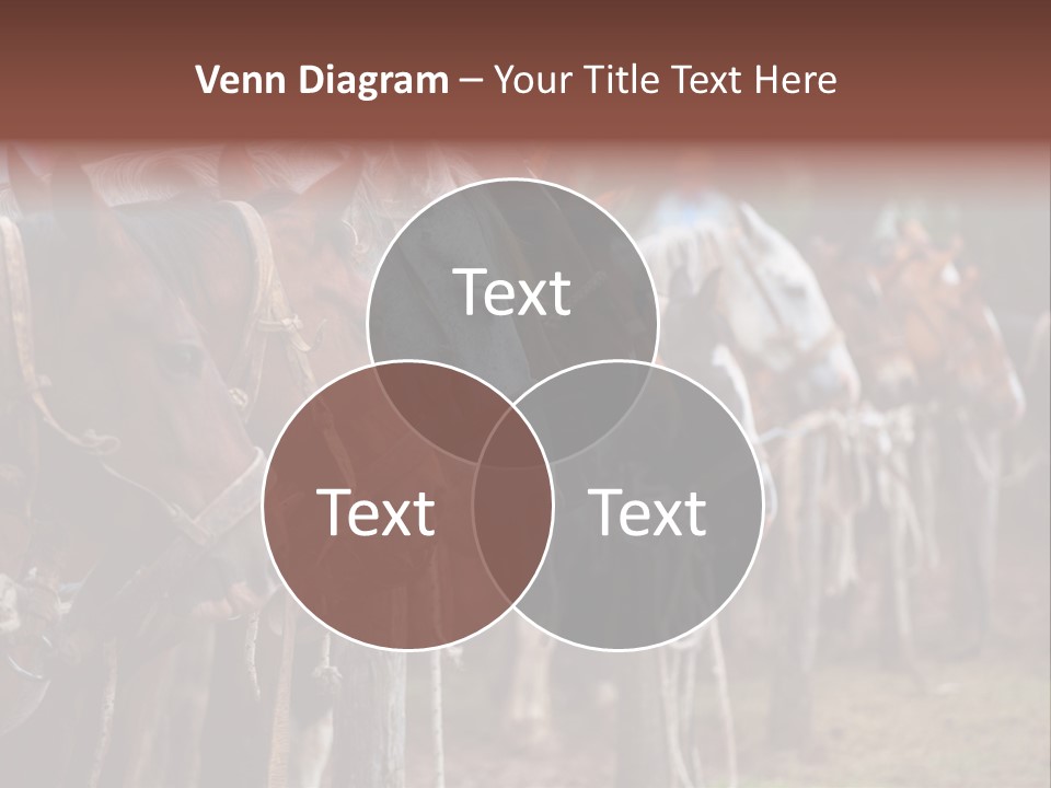 Exhibitions Rancher Horse PowerPoint Template