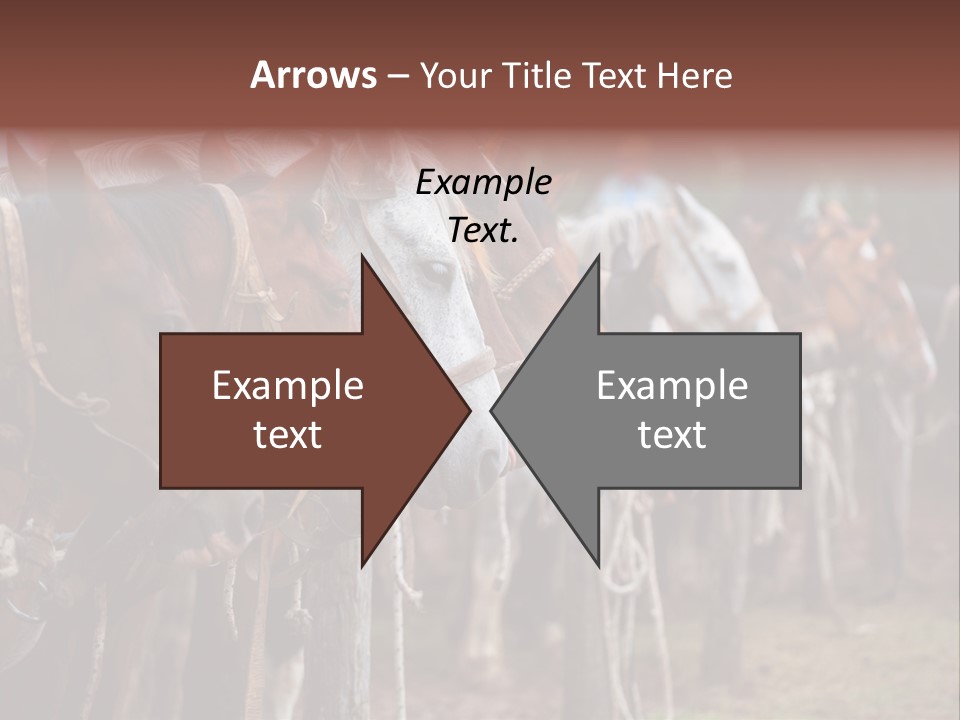 Exhibitions Rancher Horse PowerPoint Template