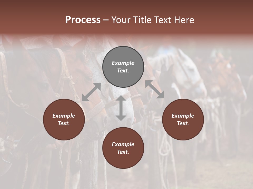 Exhibitions Rancher Horse PowerPoint Template