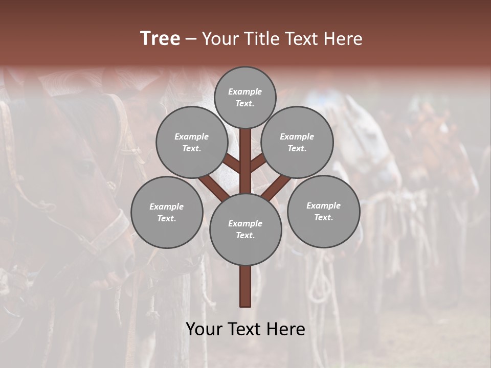 Exhibitions Rancher Horse PowerPoint Template