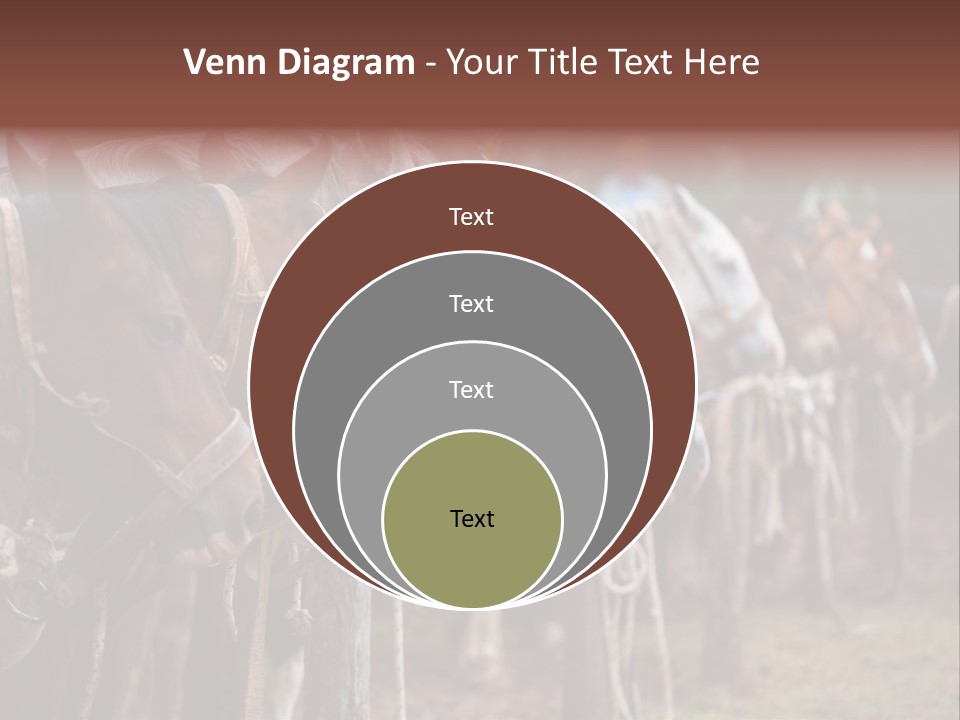 Exhibitions Rancher Horse PowerPoint Template