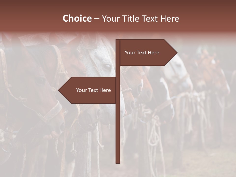 Exhibitions Rancher Horse PowerPoint Template