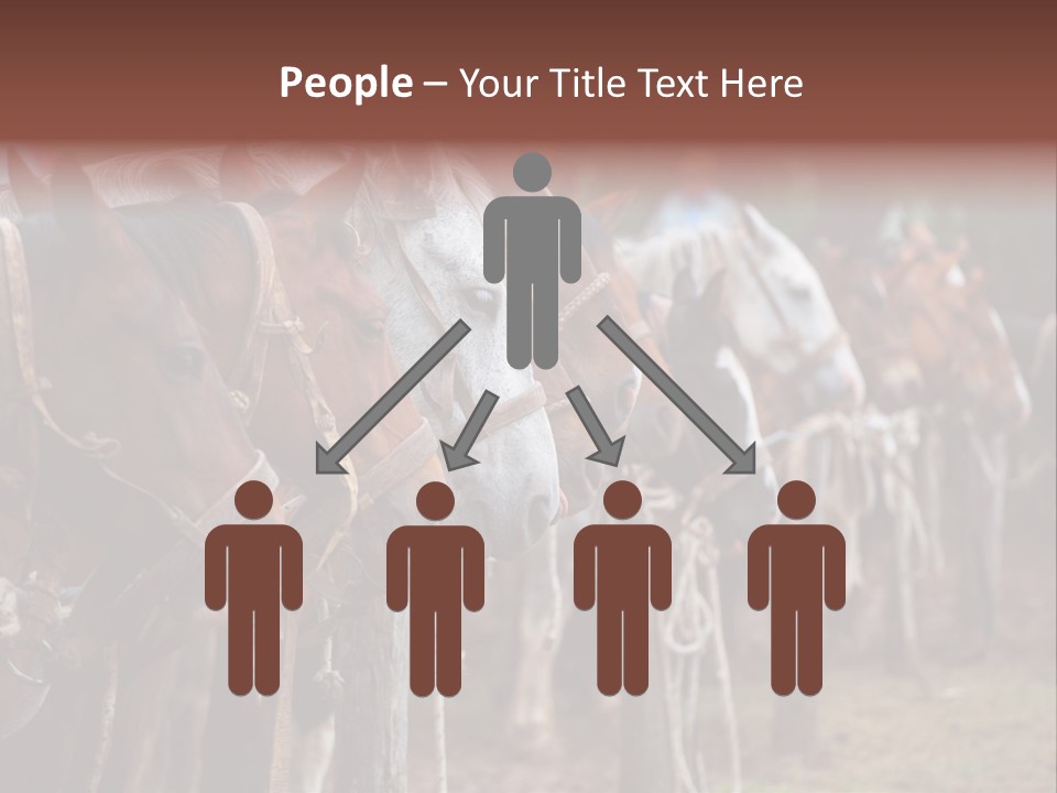 Exhibitions Rancher Horse PowerPoint Template