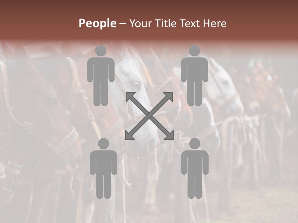 Exhibitions Rancher Horse PowerPoint Template