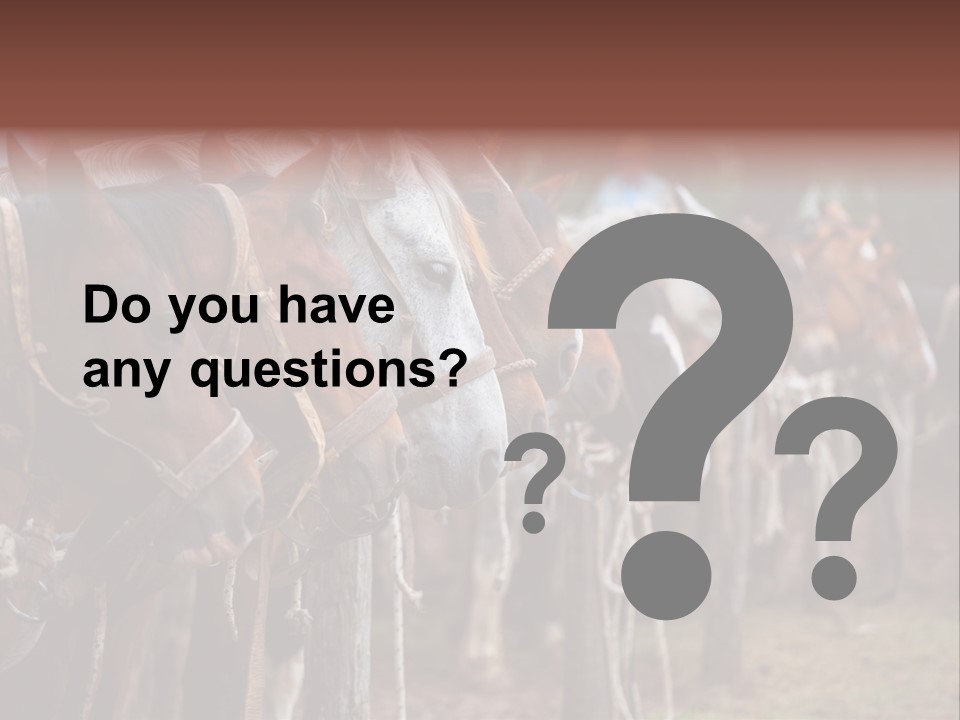 Exhibitions Rancher Horse PowerPoint Template