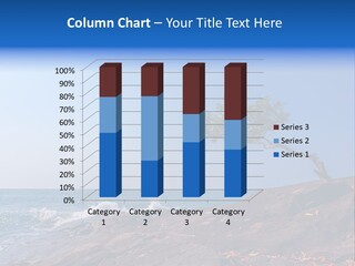 Over Idyllic Single PowerPoint Template