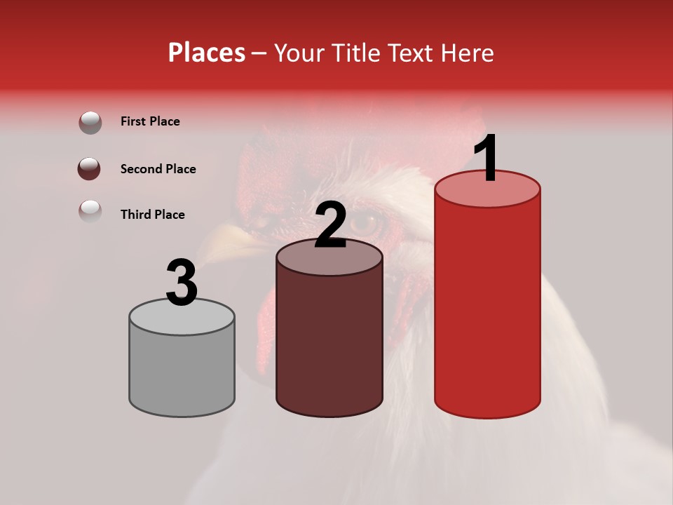 Head Farm Avian PowerPoint Template