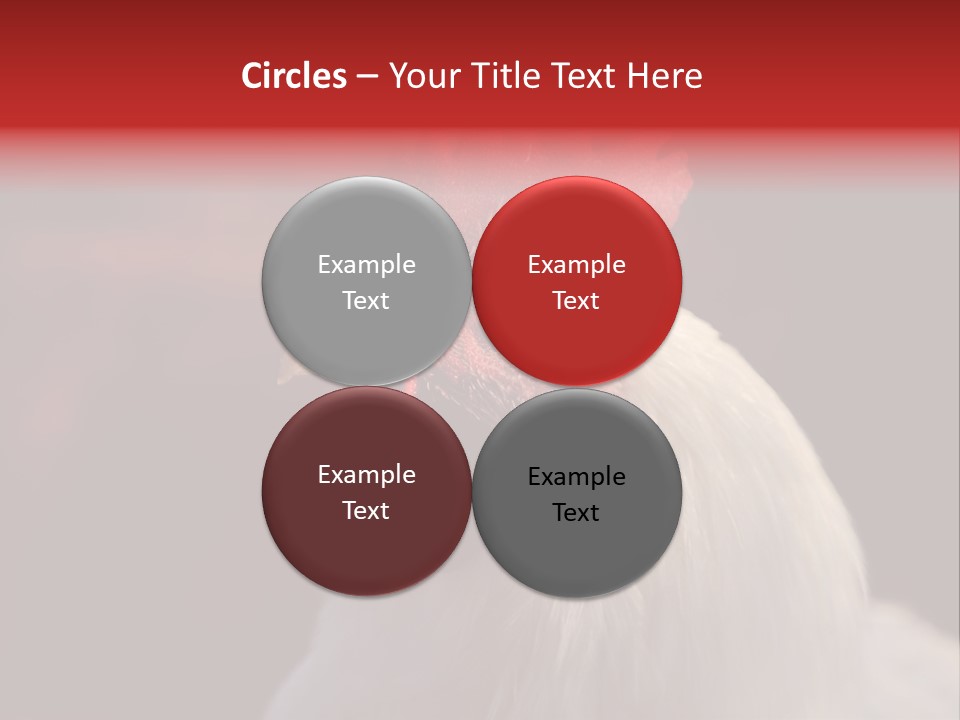 Head Farm Avian PowerPoint Template