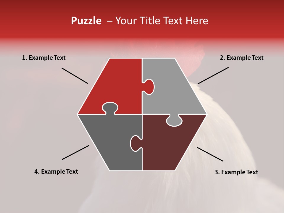 Head Farm Avian PowerPoint Template