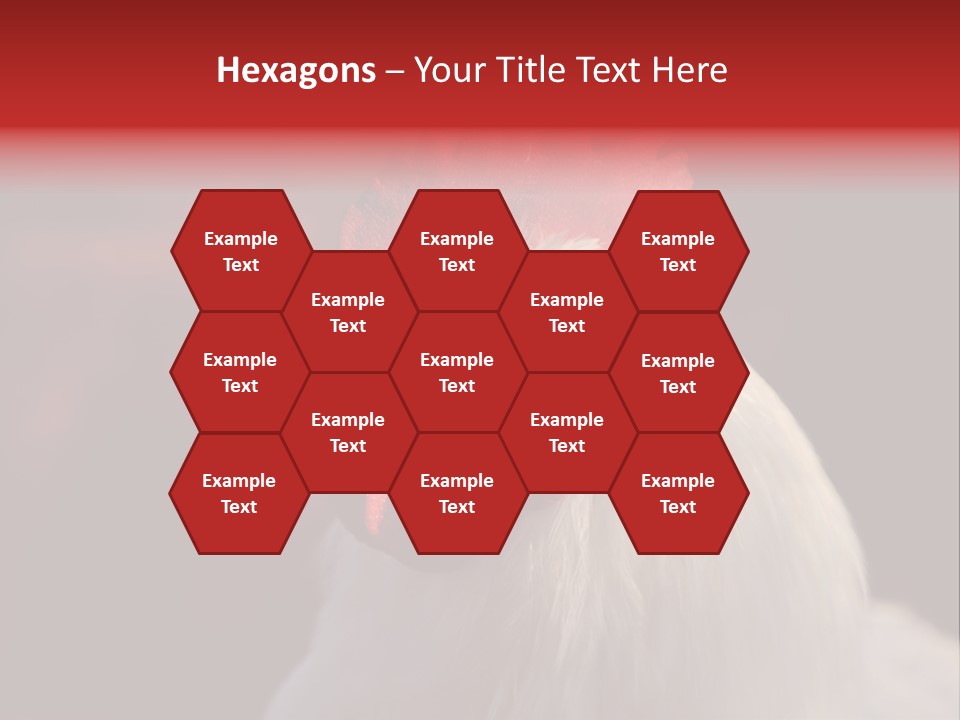 Head Farm Avian PowerPoint Template