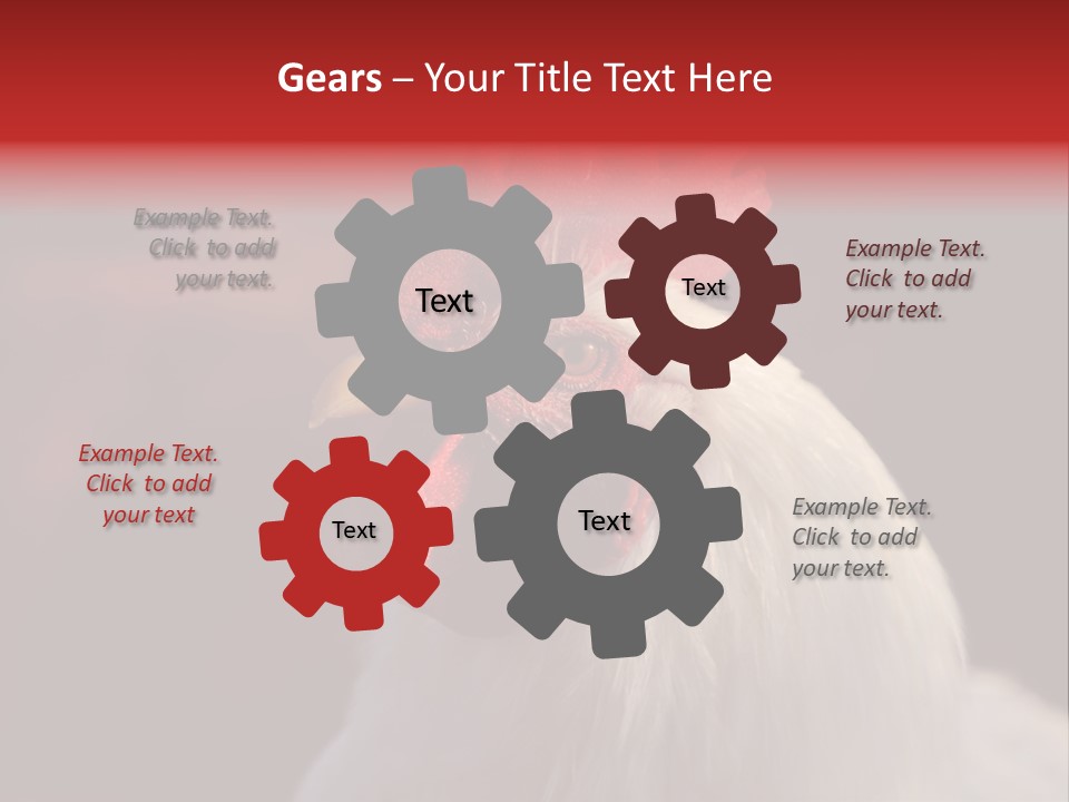 Head Farm Avian PowerPoint Template