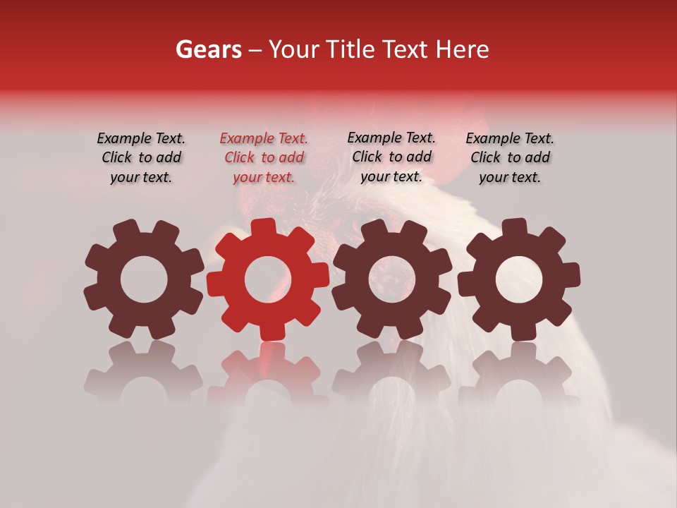 Head Farm Avian PowerPoint Template