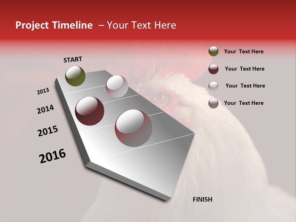 Head Farm Avian PowerPoint Template