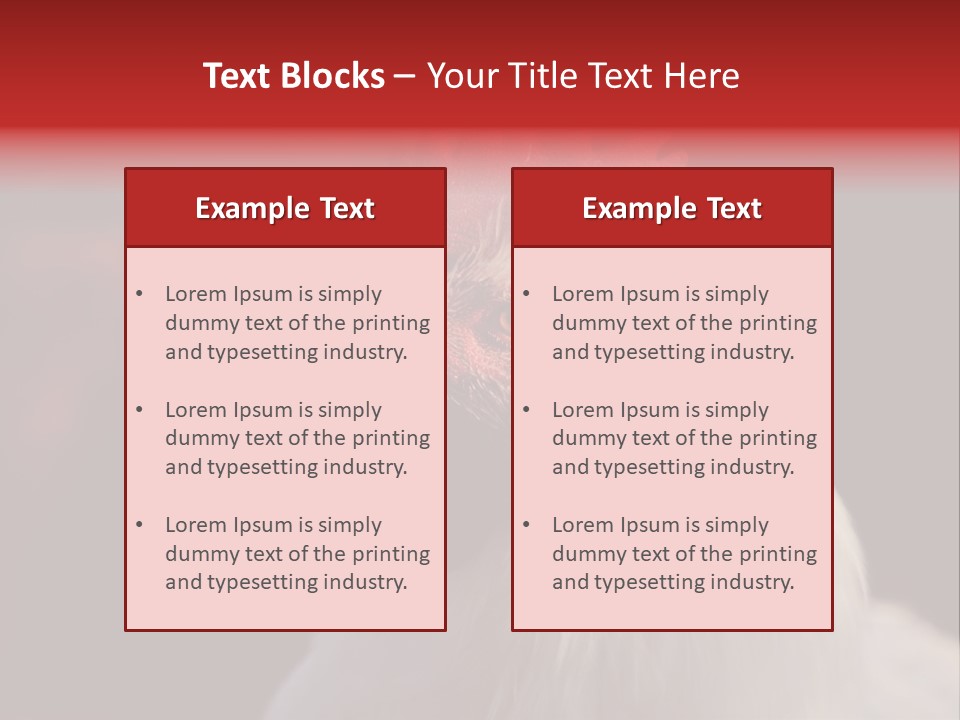 Head Farm Avian PowerPoint Template