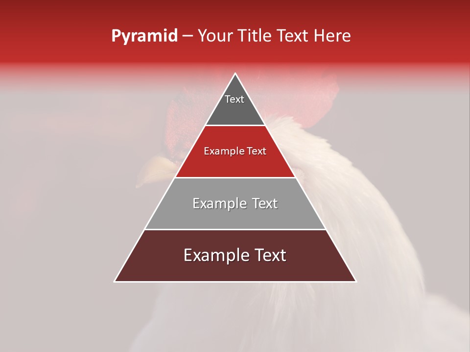 Head Farm Avian PowerPoint Template