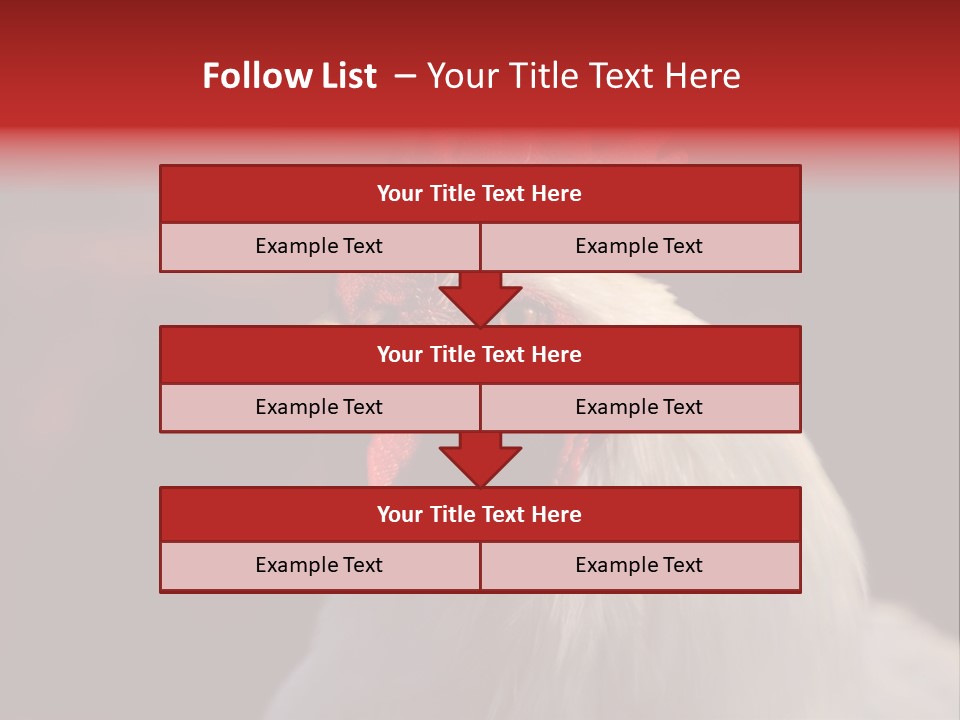 Head Farm Avian PowerPoint Template