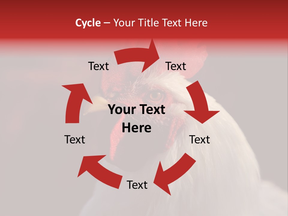 Head Farm Avian PowerPoint Template