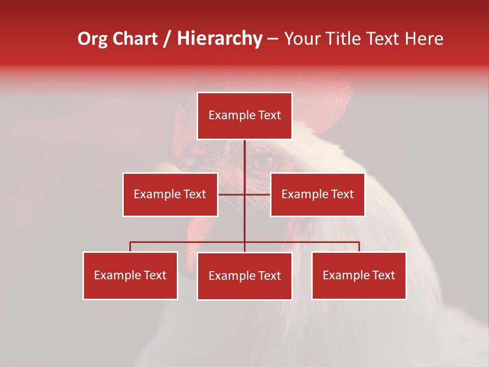 Head Farm Avian PowerPoint Template