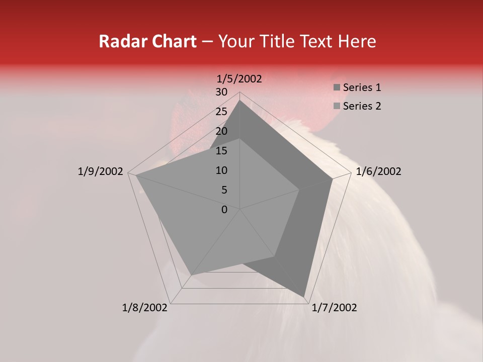 Head Farm Avian PowerPoint Template