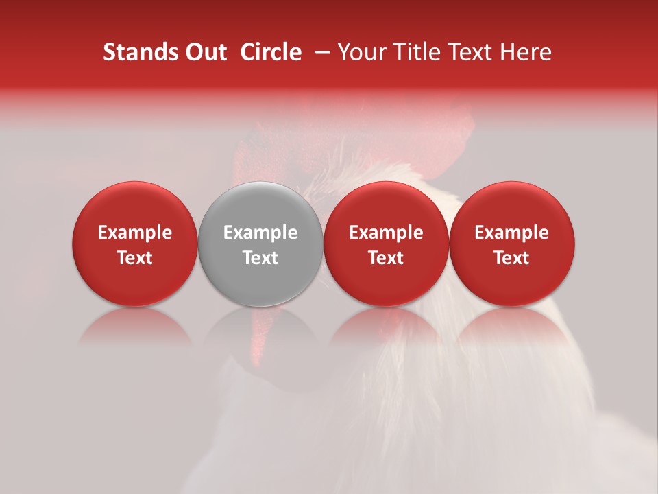 Head Farm Avian PowerPoint Template