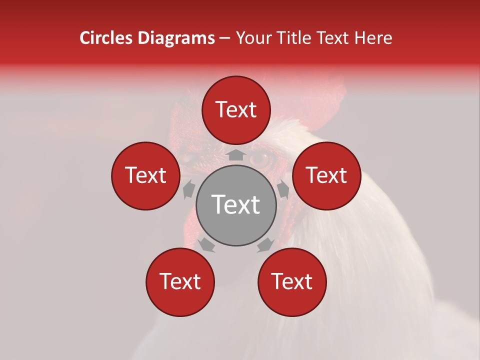 Head Farm Avian PowerPoint Template