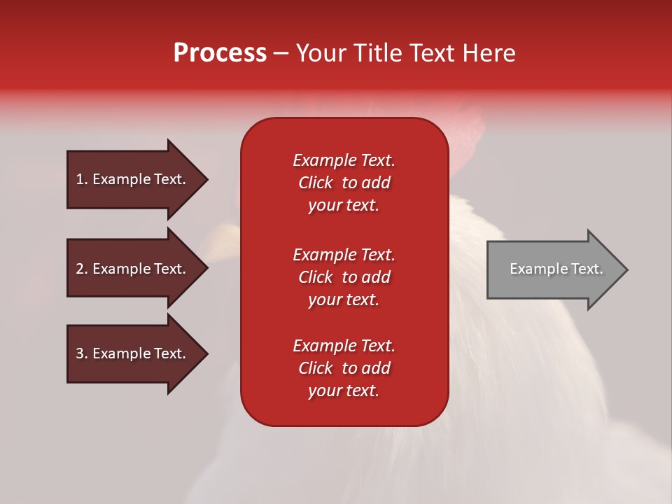 Head Farm Avian PowerPoint Template