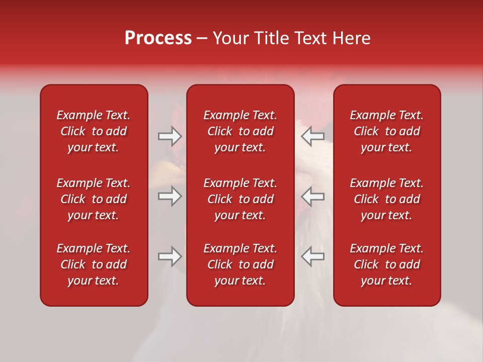Head Farm Avian PowerPoint Template