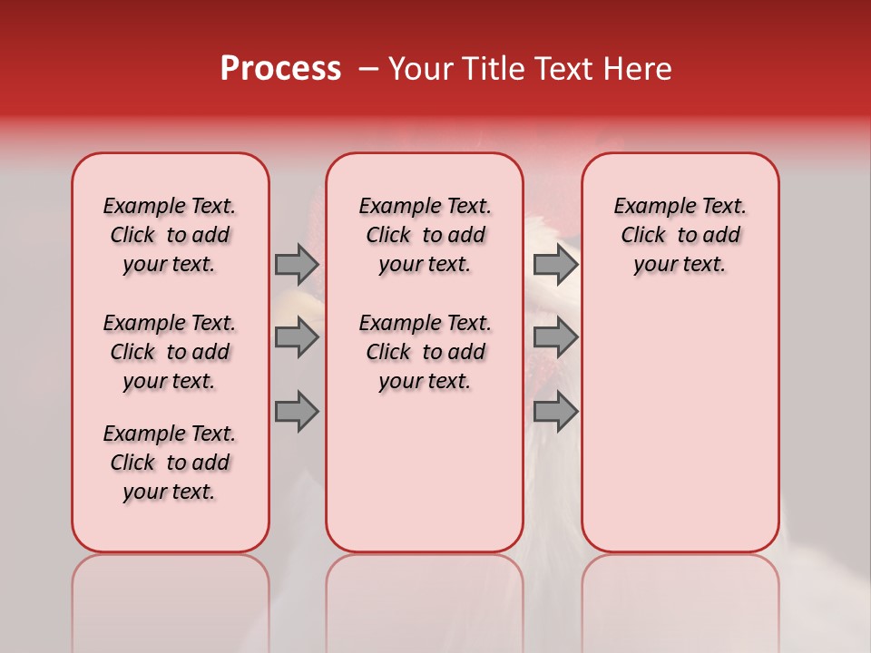Head Farm Avian PowerPoint Template