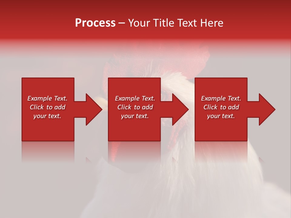 Head Farm Avian PowerPoint Template
