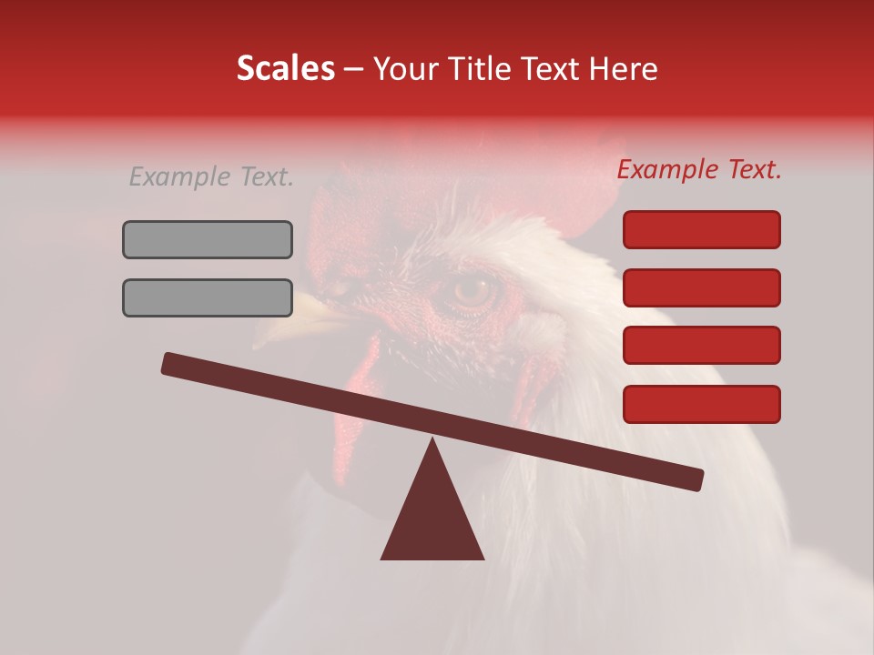 Head Farm Avian PowerPoint Template