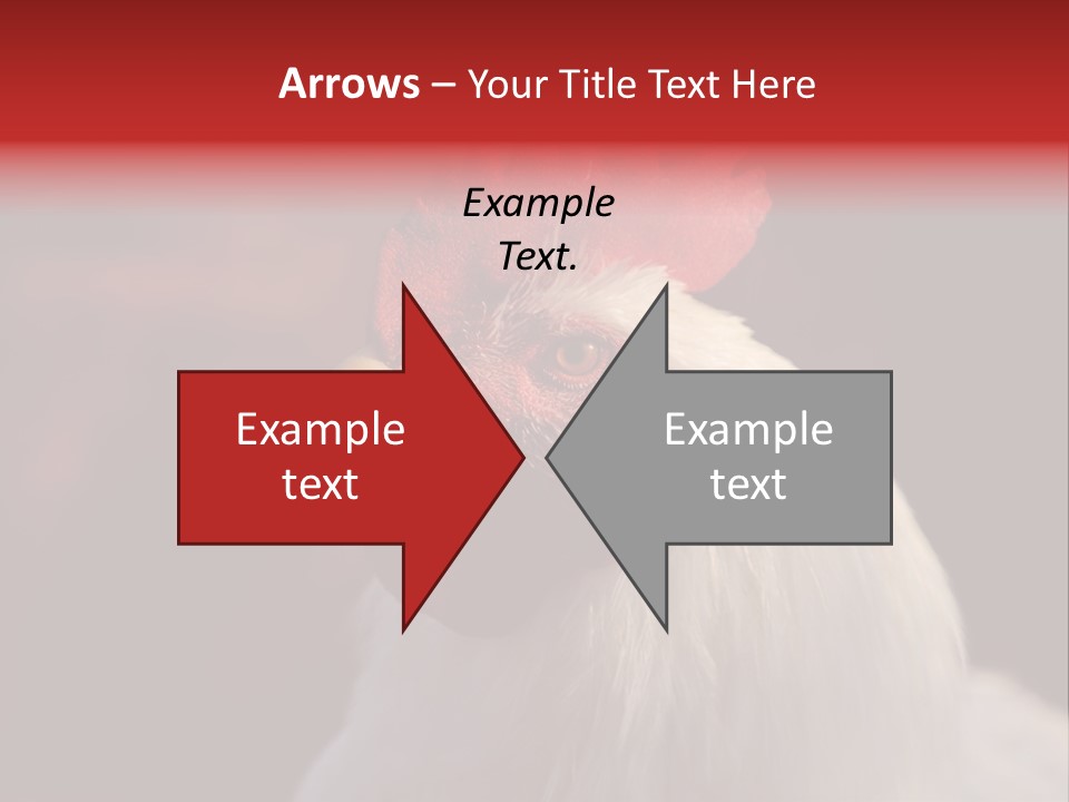 Head Farm Avian PowerPoint Template