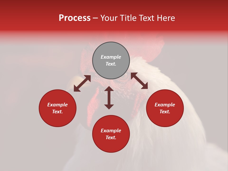 Head Farm Avian PowerPoint Template
