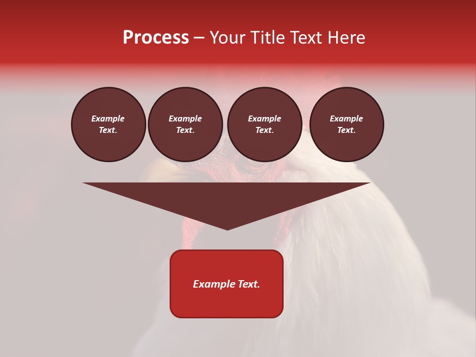 Head Farm Avian PowerPoint Template