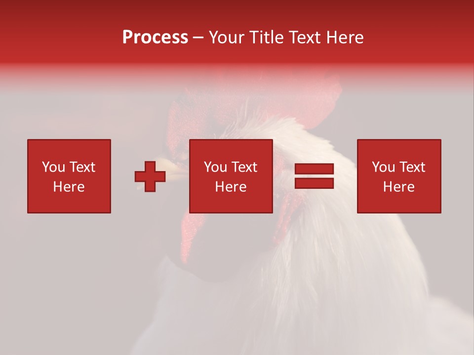 Head Farm Avian PowerPoint Template