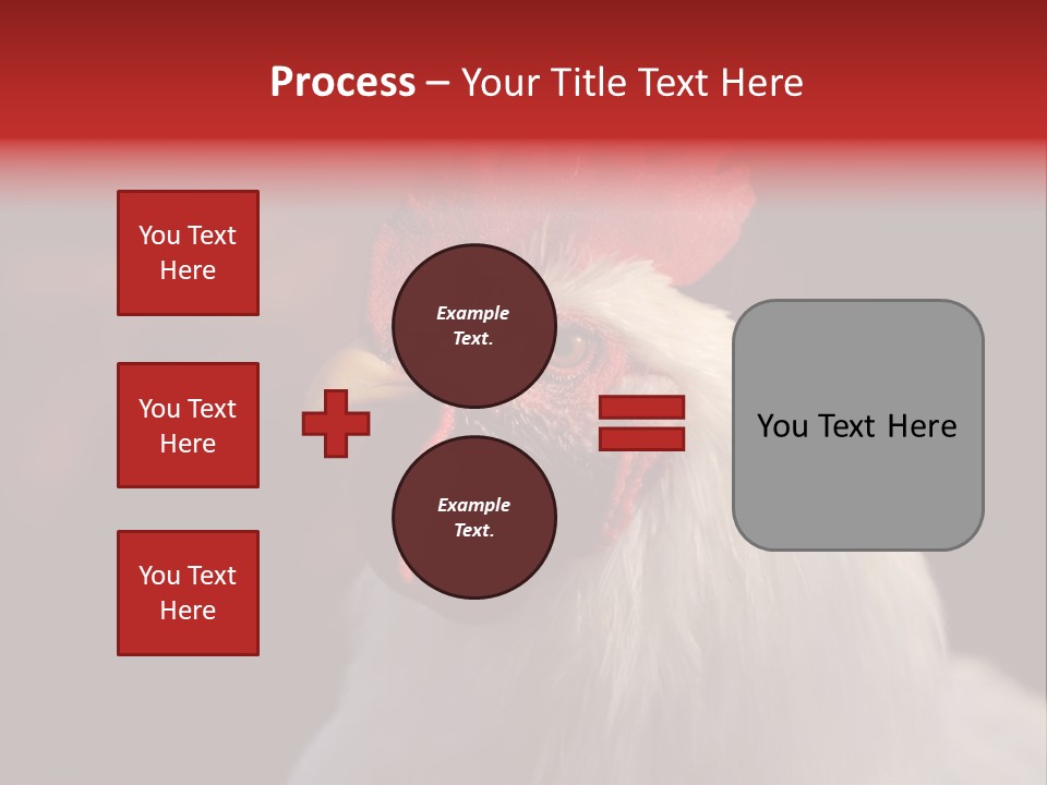 Head Farm Avian PowerPoint Template