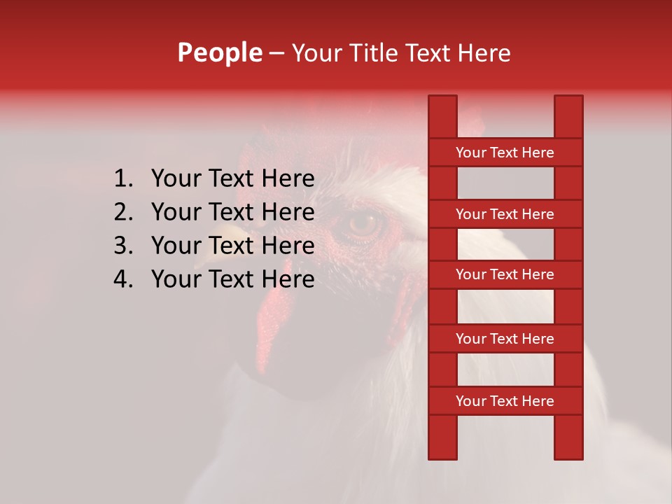 Head Farm Avian PowerPoint Template