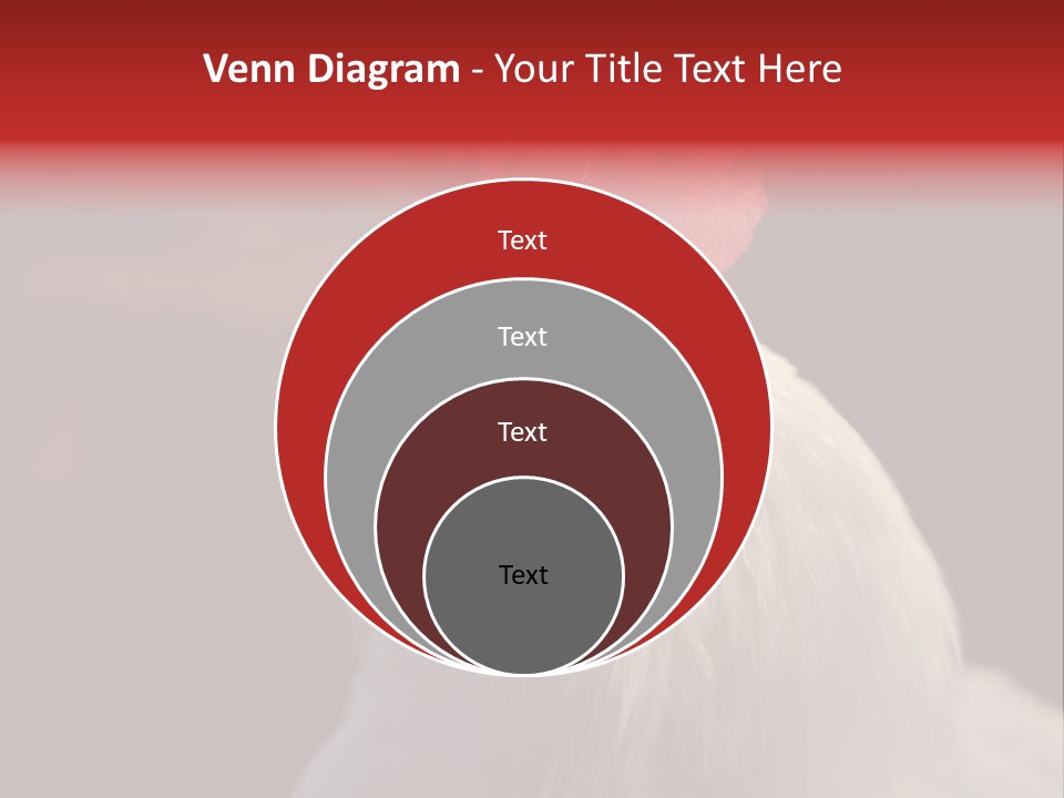 Head Farm Avian PowerPoint Template