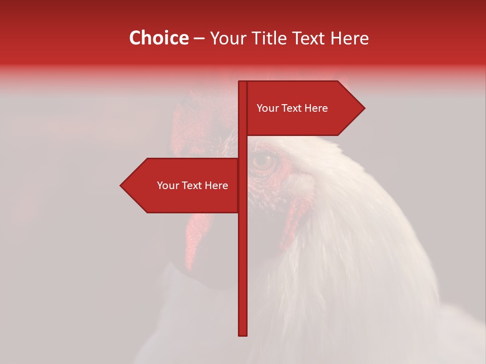 Head Farm Avian PowerPoint Template