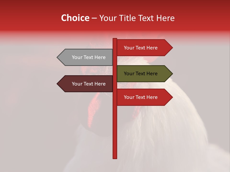 Head Farm Avian PowerPoint Template