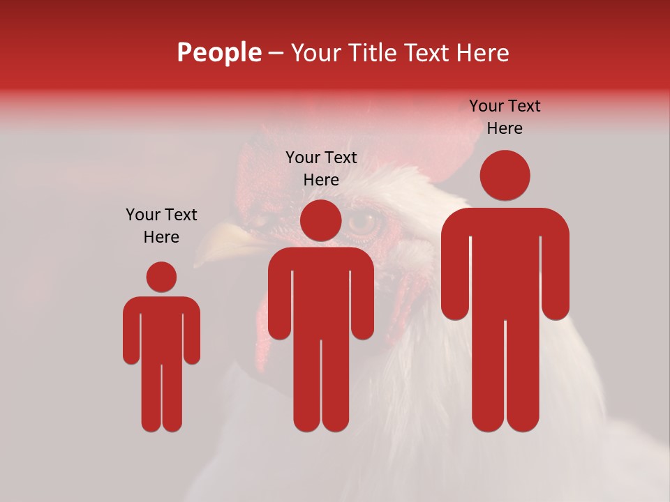 Head Farm Avian PowerPoint Template