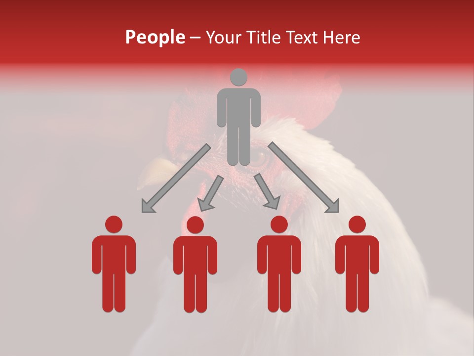 Head Farm Avian PowerPoint Template