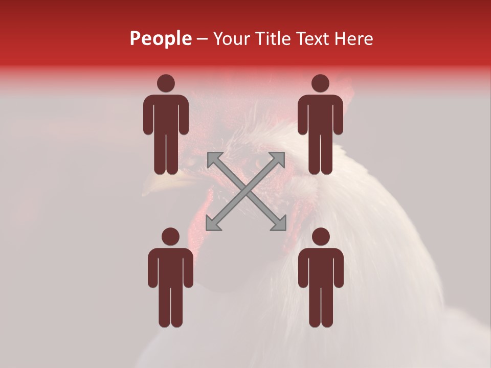 Head Farm Avian PowerPoint Template