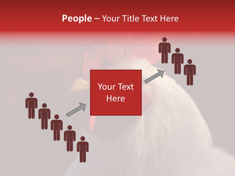 Head Farm Avian PowerPoint Template