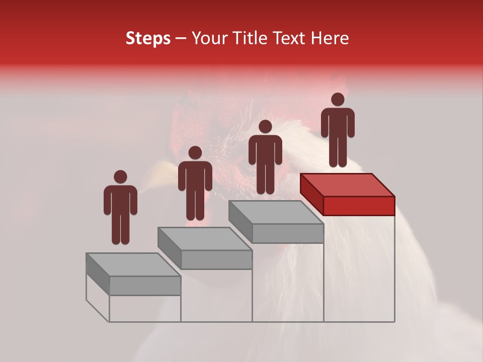 Head Farm Avian PowerPoint Template