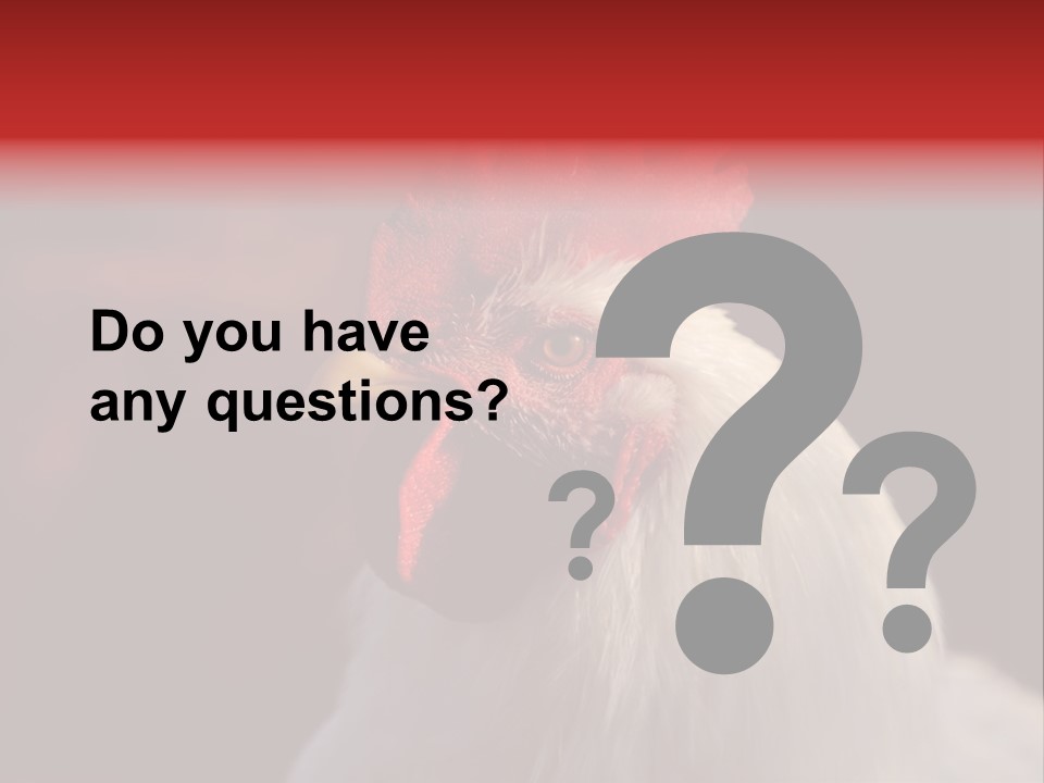 Head Farm Avian PowerPoint Template