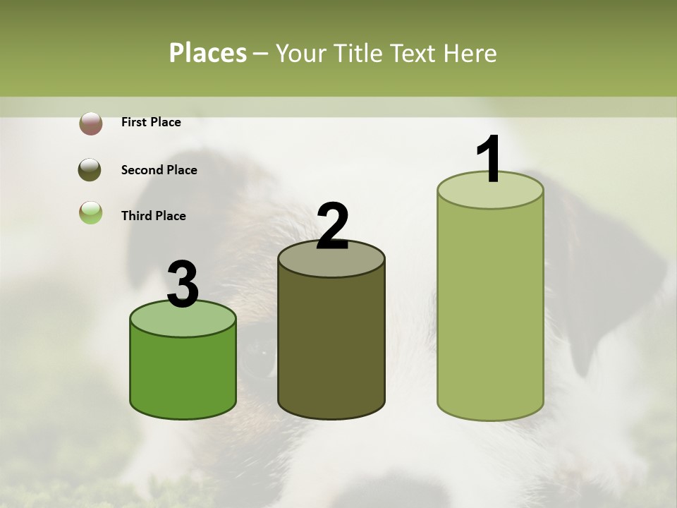Pedigreed Purebred Side PowerPoint Template